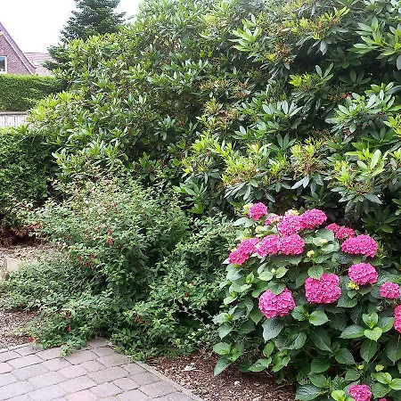 Hexenhuus By Interhome Hage