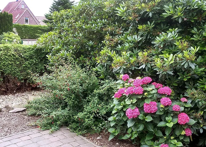 Hexenhuus By Interhome Hage